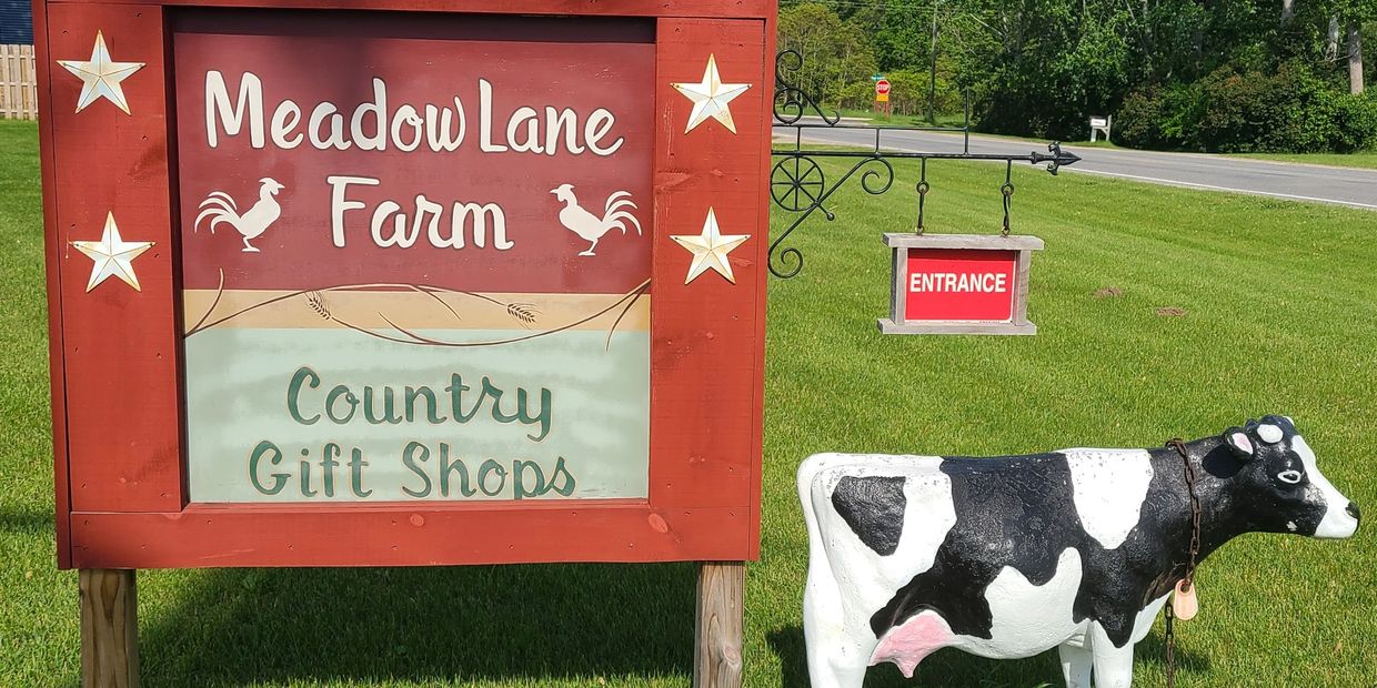 Meadow Lane Farm